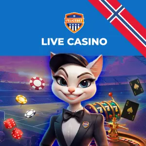 En kattfigur kledd som croupier med et rulettbord, spillekort og sjetonger.